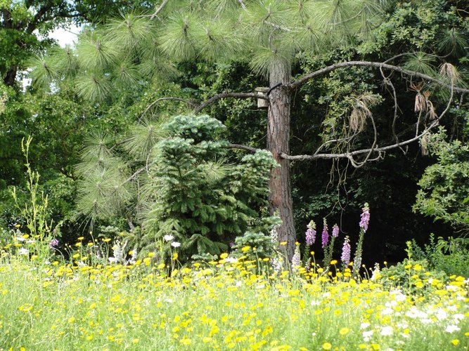 Parc botanique de Neuvic