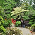 Parc botanique de Haute-Bretagne (LE CHATELLIER, 35)