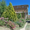 Jardin de l'abbaye de Valsaintes (SIMIANE LA ROTONDE, 04)