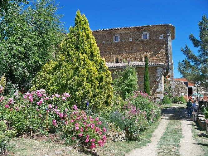 Jardin de l'abbaye de Valsaintes