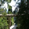 Domaine du Rayol, Le Jardin des Méditerranées