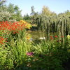 Jardin d'Elle
