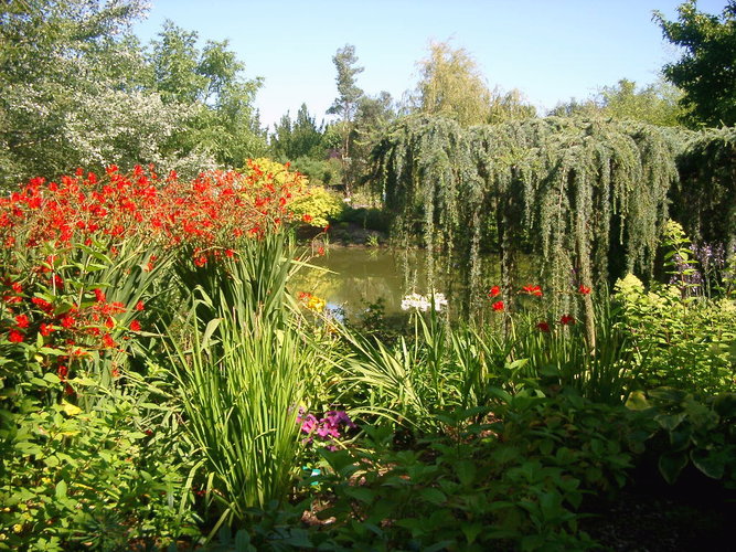 Jardin d'Elle