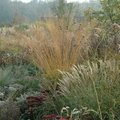 Pépinière Jardin Antoine Breuvart (RAMECOURT, 62)