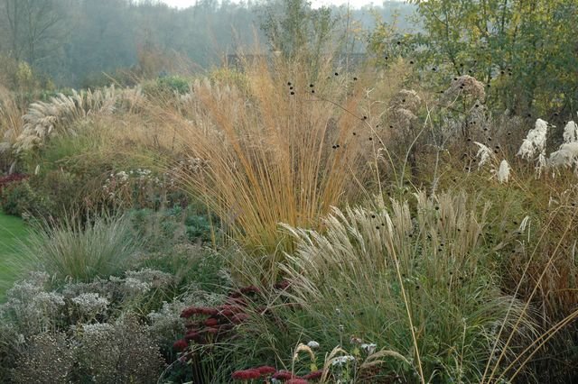 Pépinière Jardin Antoine Breuvart