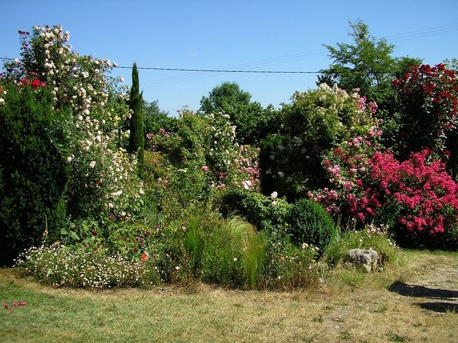 Jardin De Boissonna