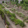 Jardin Monastique Des Dominicains De Haute-alsace