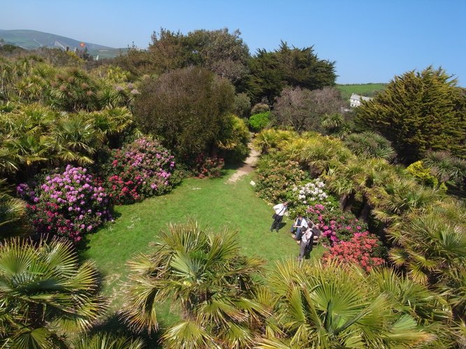 Jardin botanique de Vauville