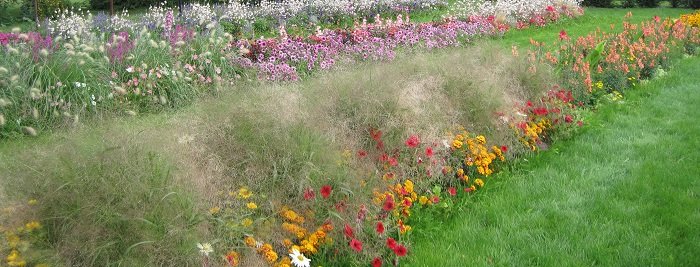 Un jardin au naturel