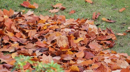 Que dit la loi sur le brûlage des déchets verts ?