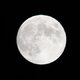 Jardiner avec la lune : novembre 2019