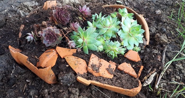 DIY : créer un mini jardin avec de la terre cuite récupérée