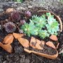 Recycler de la terre cuite en mini jardin décoratif