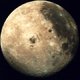 Jardiner avec la lune : juillet 2021