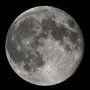 Jardiner avec la lune : juillet 2022