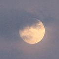 Jardiner avec la lune : décembre 2022