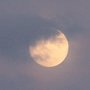 Jardiner avec la lune : décembre 2022