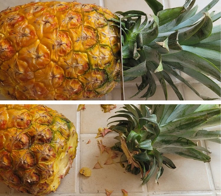 Découper le feuillage de l'ananas
