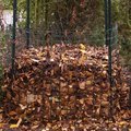 Création d'un silo à feuilles