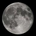 Jardiner avec la lune : juin 2024