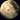 Jardiner avec la lune : août 2024