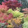 Abri de jardin en métal, quels critères pour le choisir ?
