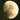 Jardiner avec la lune : février 2025