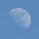 Jardiner avec la lune : mai 2025