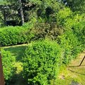 Comment se cacher des voisins en ville sans gros aménagements ?