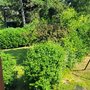 Comment se cacher des voisins en ville sans gros aménagements ?