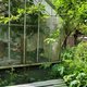 5 astuces pour bien ventiler sa serre de jardin