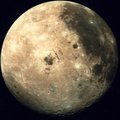 Jardiner avec la lune : septembre 2025