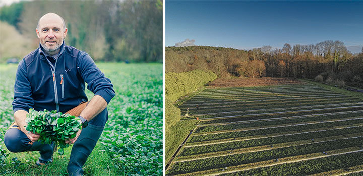 M. Morizot, cressiculteur dans l'Essonne - Crédit : © Patrick Lévêque et © Maxime Henry - Fermes and Co