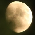 Jardiner avec la lune : f&eacute;vrier 2026