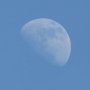 Jardiner avec la lune : mai 2026