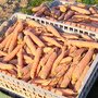6 l&eacute;gumes &agrave; semer en septembre pour avoir des r&eacute;coltes en hiver