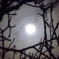 Jardiner avec la lune : octobre 2026
