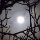 Jardiner avec la lune : octobre 2026