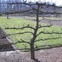 Au printemps, les visites du Domaine de Saint-Jean de Beauregard commencent