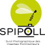 SPIPOLL, être photographe d'insectes pollinisateurs