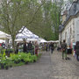 Printemps 2011 - Fête des Plantes Vivaces de Saint-Jean de Beauregard (91)