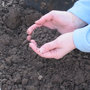 Analyser la terre du jardin