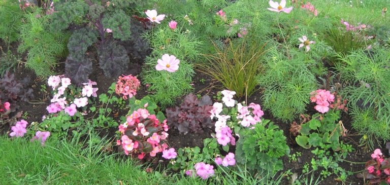 Un beau jardin avec des éléments nutritifs bien équilibrés