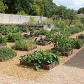 Potager du Roy à Rochefort (17)