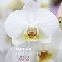 Agendas Jardin 2012, lequel choisir ?