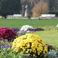 Parc de l'Orangerie à Strasbourg