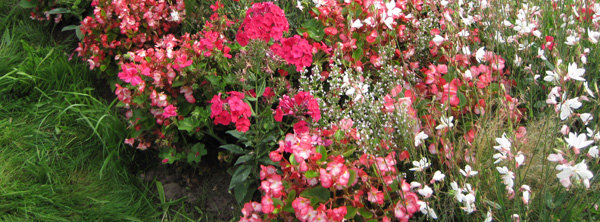 Transition entre le printemps et l'été