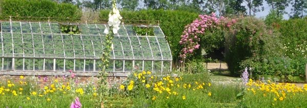 Les travaux dans la serre à faire en juillet