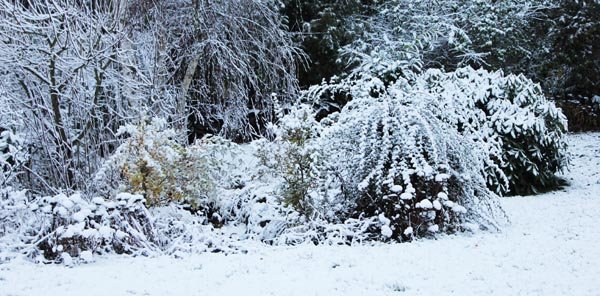 Comment enlever la neige et le verglas en hiver ? Pelle, sel déneigeant ou  déneigeuse ? 