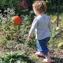 6 légumes pour commencer un potager avec les enfants